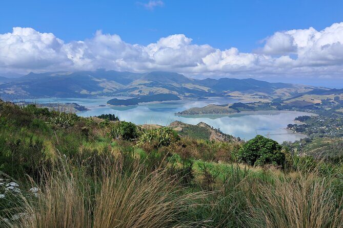 Christchurch Highlights Tour (Full Day Private) - A Detailed Look at the Christchurch Highlights Tour