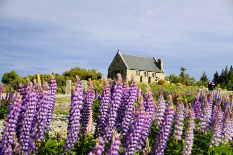 Christchurch: Lake Tekapo Stargazing & Mount Cook 2-Day Tour - Key Points