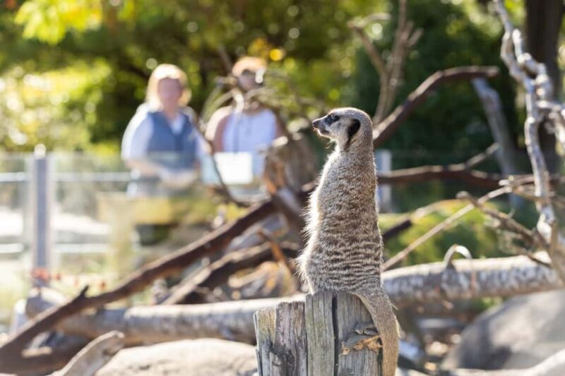 Christchurch: Orana Wildlife Park Admission - Who should consider visiting?