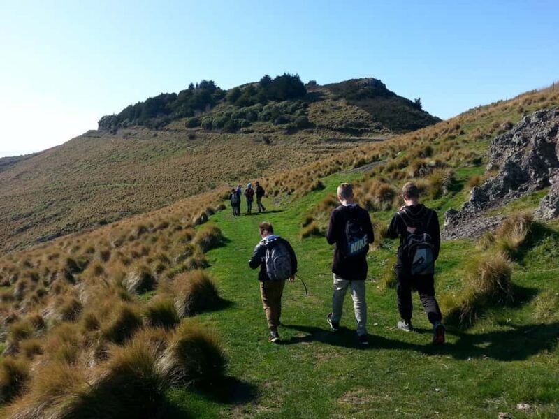 Christchurch: Packhorse Hut Guided Walk and Scenic Drive - Who Would Love This Tour?