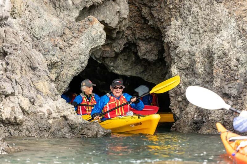 Christchurch: Sea Kayaking Tour of Lyttelton Harbour - Key Points