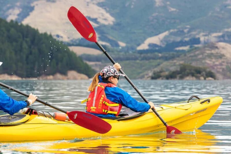 Christchurch: Sea Kayaking Tour of Lyttelton Harbour - An Authentic New Zealand Coastal Experience