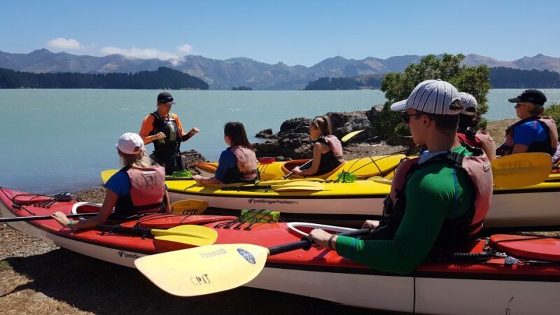 Christchurch: Sea Kayaking Tour of Lyttelton Harbour - What to Bring and Wear