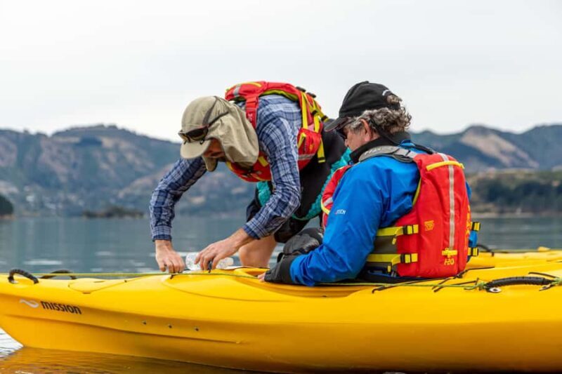 Christchurch: Sea Kayaking Tour of Lyttelton Harbour - Overall Value and Who Will Love It