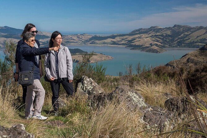 Christchurch Sightseeing Pass - Introducing the Christchurch Sightseeing Pass: What’s on Offer?
