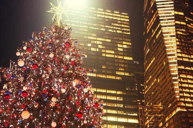 Christmas City Lights Walking Tour in New York - Who Will Appreciate This Tour?