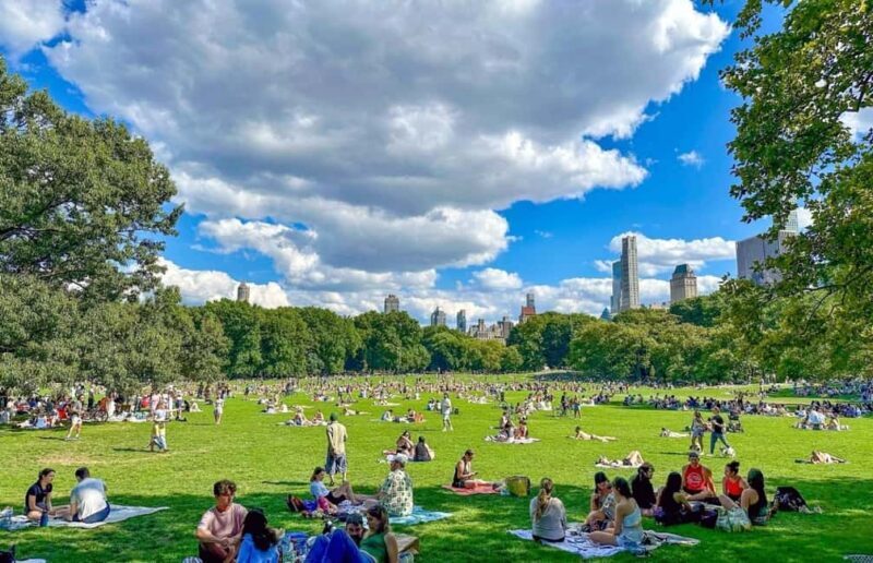 Christmas in Central Park: Horse Carriage Holiday Tour - Key Points