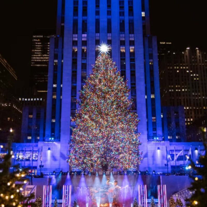 Christmas in New York: Pedicab Tour & Rockefeller Tree - Authentic Feedback & What Travelers Say