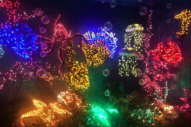 Christmas Lights and Snowflake Lane photo tour - Authentic Insights from Guests