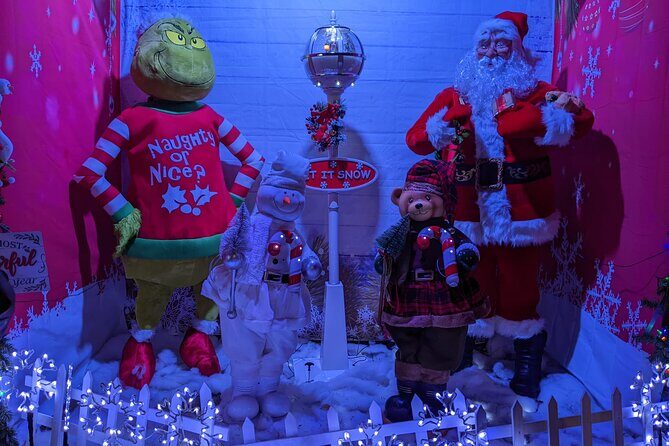 Christmas Lights Tour - An Overview of the Experience
