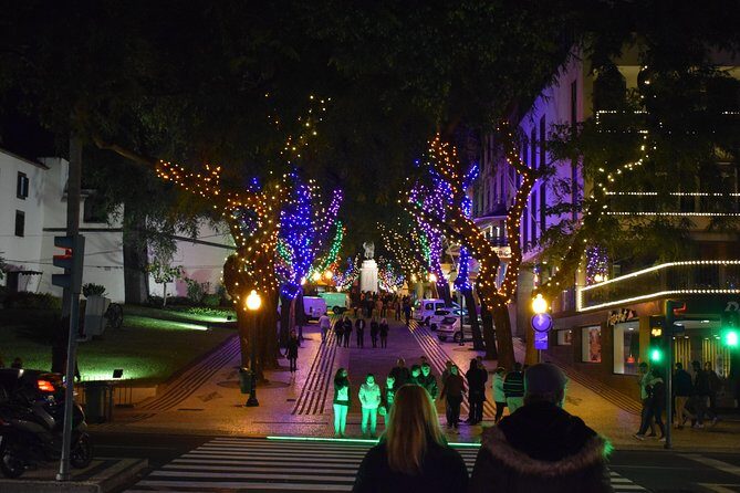 Christmas Lights Tukxi Tour (price per tukxi - up to 5 people) - An In-Depth Look at the Christmas Lights Tukxi Tour