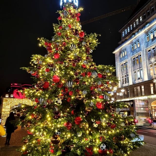 Christmas market lights tour bus through Berlin, free mulled wine (2.5 hours) - FAQs