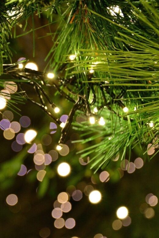 Christmas Tales in Canterbury  Private Walking Tour - Starting Point: St Augustine’s Abbey