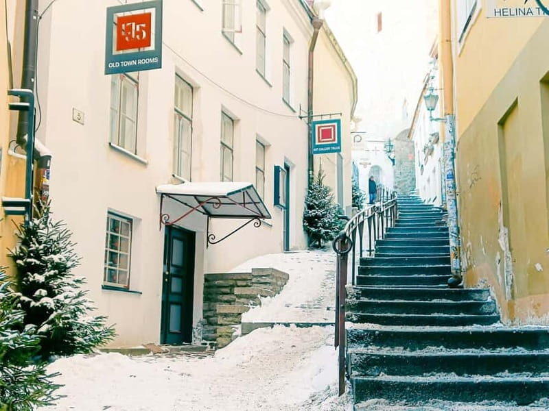 Christmas Tales in Tallinn - 2 Hours Walking Tour - Practical Details and Value