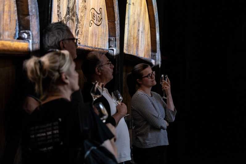 Christmas Wine Tour with Wine Tasting - A Closer Look at the Christmas Wine Tour Experience