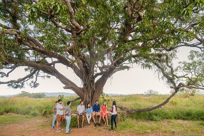 Chronicles and Echoes of Divar Island by Make It Happen - An In-Depth Look at the Divar Island Experience