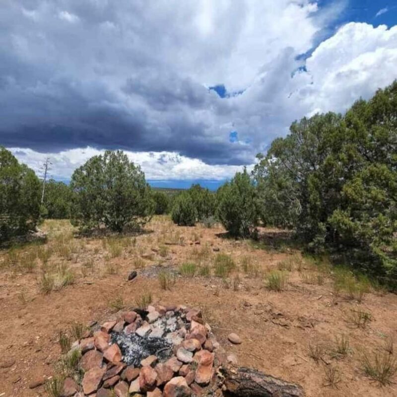 Chrysotile Arizona: Off-Roading to Regal Canyon Scenic Views - Key Points