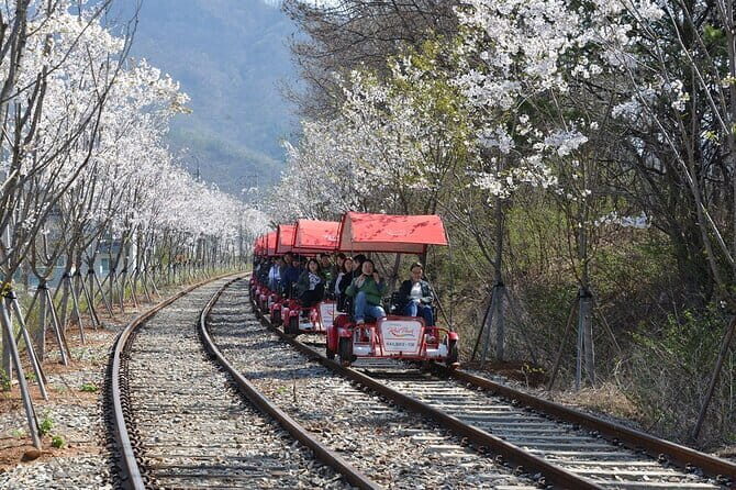 Chuncheon Special-Nami Island, Alpaca World And Rail Bike - Starting Point and Logistics
