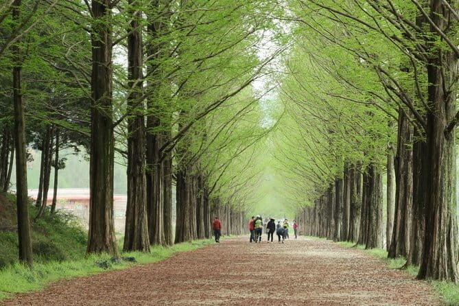 Chuncheon Special-Nami Island, Alpaca World And Rail Bike - Chuncheon Samaksan Cable Car: Breathtaking Heights