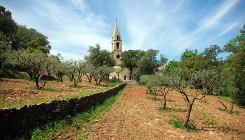 Churches of Provence & French Countryside Private Tour - An In-Depth Look at the Journey