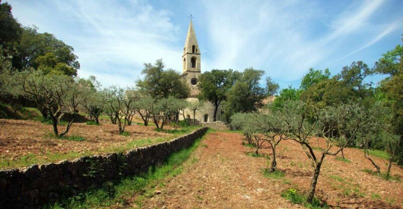 Churches of Provence & French Countryside Private Tour - The Practicalities: What’s Included and What’s Not