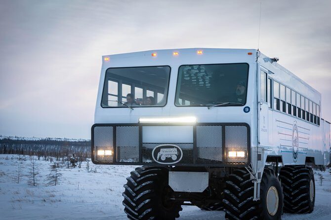 Churchill Polar Bear Experience  5-Night Classic Tour - Dog-Sledding and Additional Activities