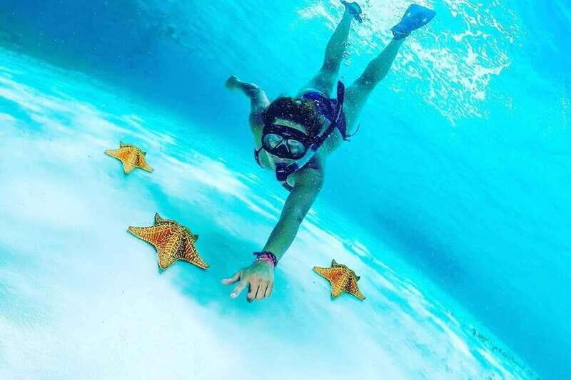 Cielo y Cielito With Transfer, Catamaran, 5 hours Open Bar and Lunch - In The Sum Up