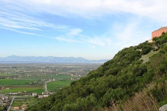 Cilento Wine: Tour & Tasting Experience - Pricing and Overall Value
