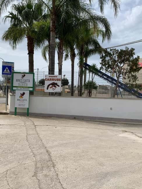 CINISI: OLIVE OIL TOUR- THE OLIVE OIL TASTING AND APERITIF TOUR - Who Should Consider This Tour?