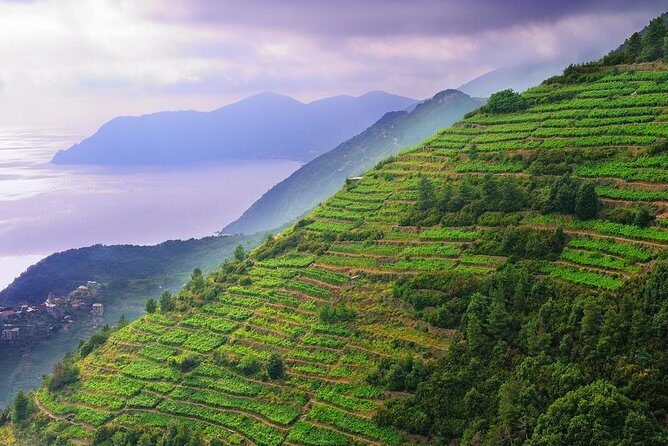 Cinque Terre and Pisa Full-Day Private Shore Excursion from Livorno Port - Who Should Consider This Tour?