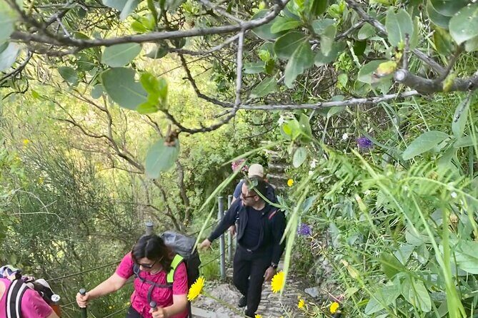 Cinque Terre by train and boat - FAQs