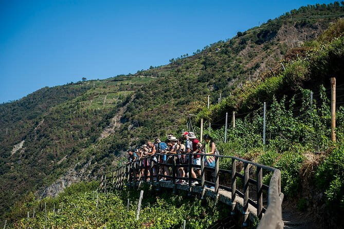 Cinque Terre Day Trip from Florence with Optional Hiking - An In-Depth Look at the Cinque Terre Day Trip