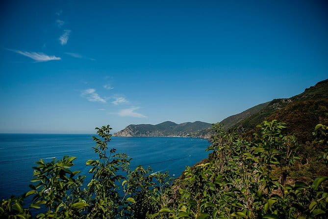 Cinque Terre Day Trip from Florence with Optional Hiking - Detailed Breakdown of the Tour Experience
