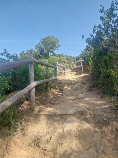 Cinque Terre from Riomaggiore to Manarola and vineyards - Key Points