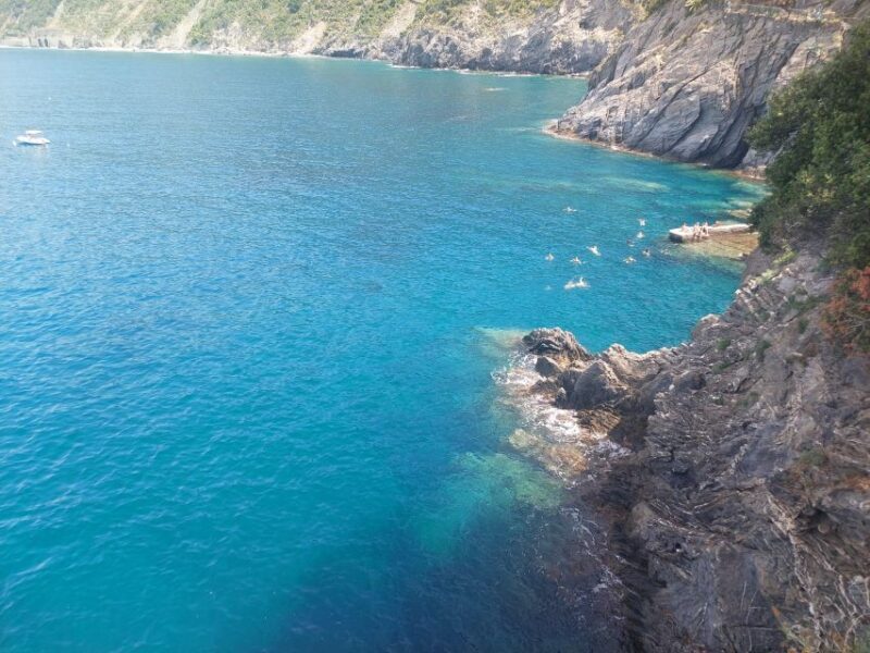 Cinque Terre from Riomaggiore to Manarola and vineyards - The Experience in Detail