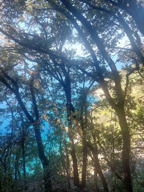 Cinque Terre panoramic hiking from Levanto to Monterosso - The Charm of Monterosso and the Statue of Neptune