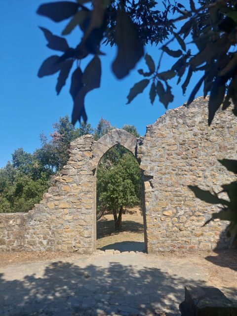Cinque Terre panoramic hiking from Levanto to Monterosso - What to Expect on the Day