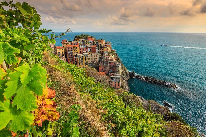 Cinque Terre Private Wine And Views Tour - An In-Depth Look at the Cinque Terre Private Wine and Views Tour