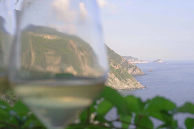 Cinque Terre Private Wine And Views Tour - The Sum Up
