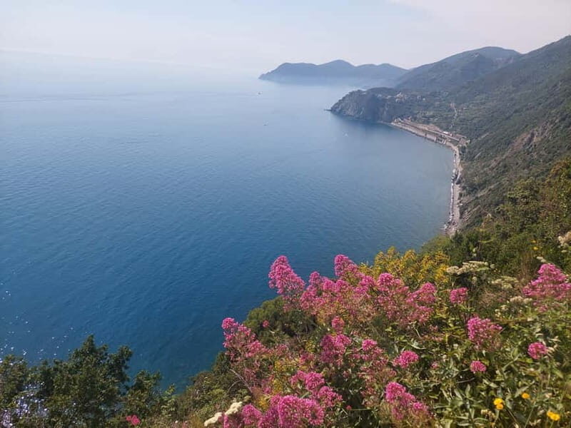 Cinque Terre Villages Walking panoramic tour - A Detailed Look at the Cinque Terre Villages Walking Tour