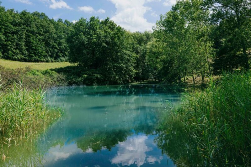 CINTA SENESE EXPERIENCE - What to Expect from the Cinta Senese Experience