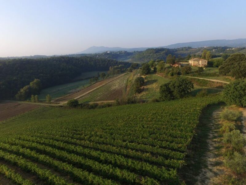 CINTA SENESE EXPERIENCE - Final Thoughts