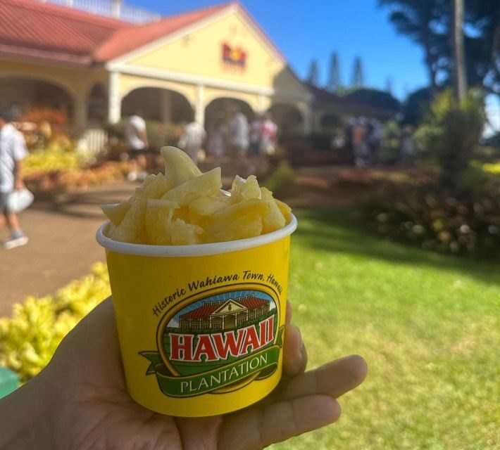 Circle Island: Swim with Turtles and Explore Paradise Oahu - Final Thoughts