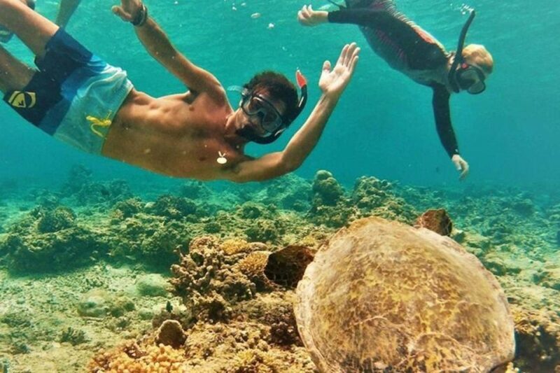 Circle Island: Swim with Turtles and Explore Paradise Oahu - FAQ