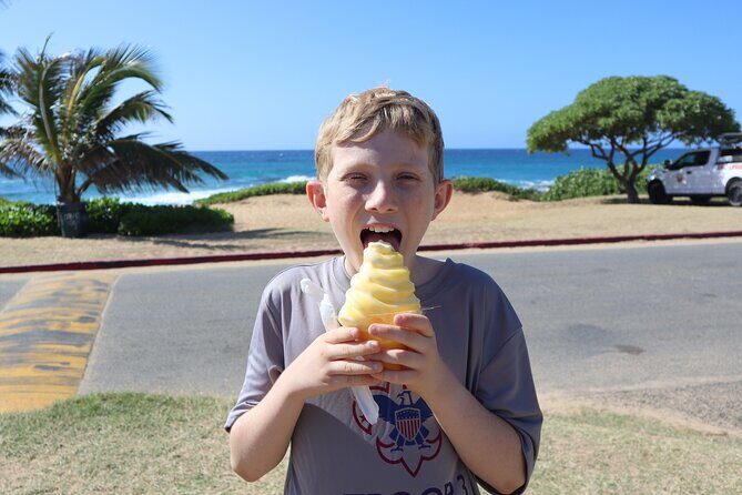 Circle Island Tour with Snorkeling & Turtles - Who Will Love This Tour?