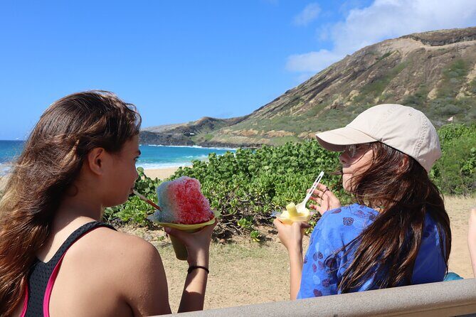 Circle Island Tour with Snorkeling & Turtles - The Sum Up