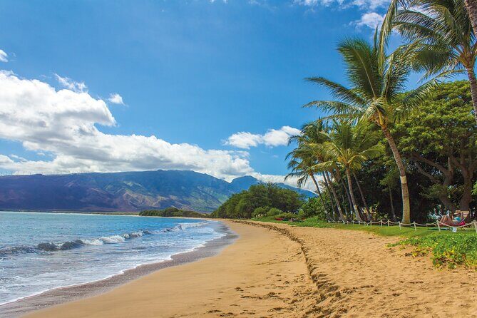 Circle Oahu Island Private Tour with Daily Chauffeur - The Sum Up: Who Will Love This Tour?