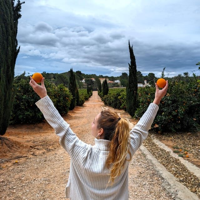 Citrus Treasures: Exploring Valencia's Orange Grove - Is It Worth the Price?