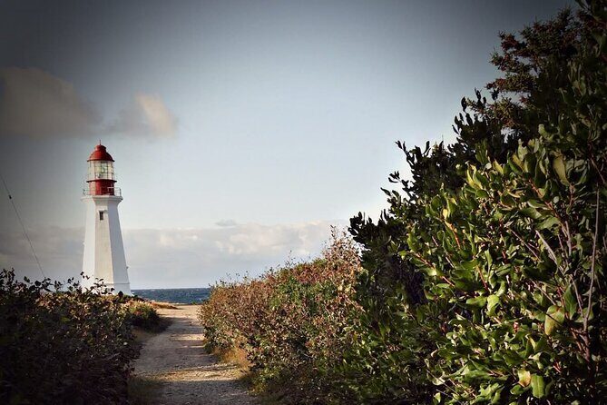 City and Coastal Highlights Museum and Lighthouse Stops Tour - Practical Details and Value