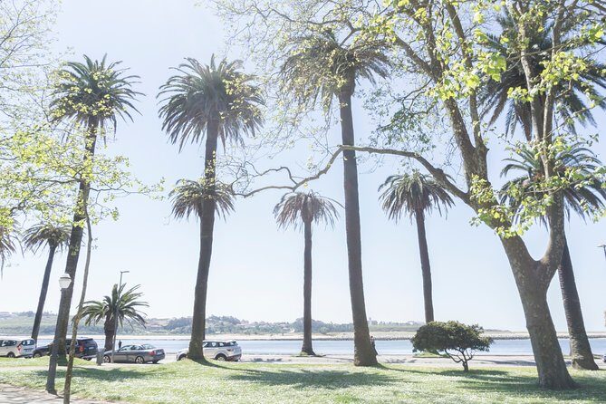 City Bike Rental in Porto - Final Thoughts